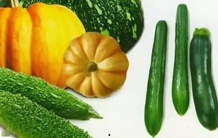 根头瓜怎么吃最好吃视频,视频教你如何烹饪最佳口感