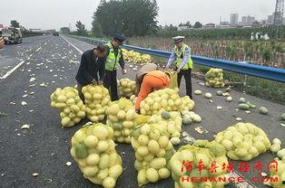 许昌豫园吃瓜事件视频播放,视频曝光引发网友热议