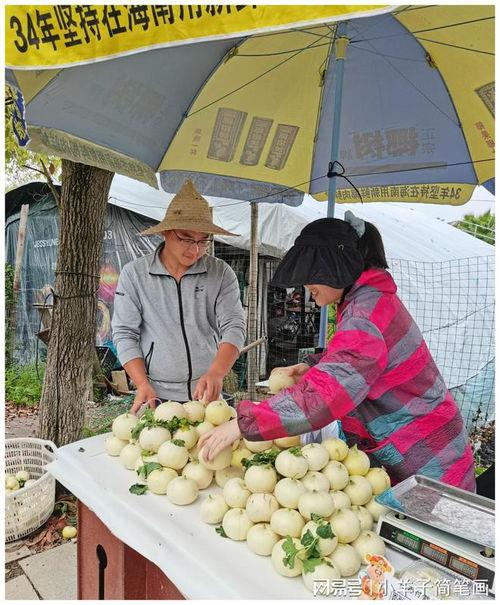温州一家吃瓜事件视频,一场引发网友热议的街头冲突