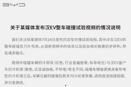 八月份吃瓜事件视频播放,笑料百出，事件连连