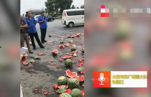 魏县小红吃瓜事件视频,一场网络热议的瓜田奇谈