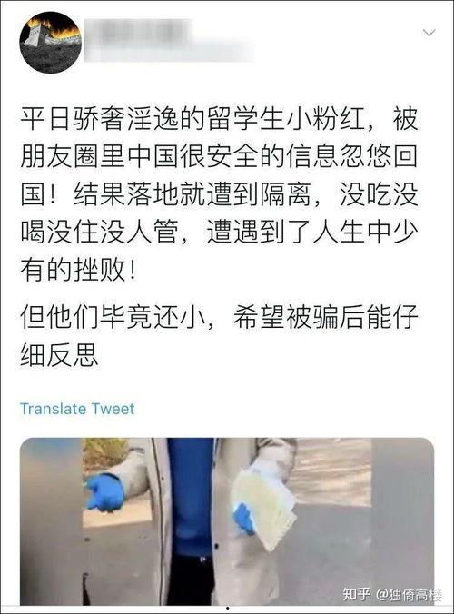 临朐吃瓜事件始末视频,一场网络舆论的风暴与反思
