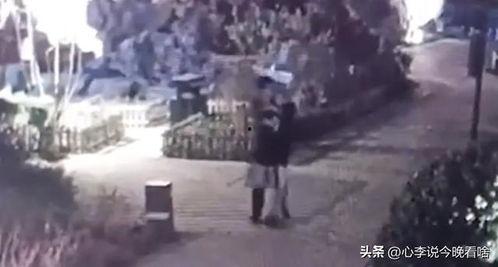 莘县吃瓜事件视频,一场引发热议的网络风波