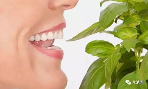 吃瓜对牙齿有影响吗视频,吃瓜对牙齿健康的潜在影响解析