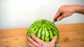 郑科吃瓜视频,揭秘娱乐圈幕后故事