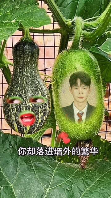 吃瓜大妈特效视频大全集,趣味横生，笑料百出的大妈世界