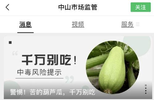 吃葫芦瓜视频素材下载,视频素材中的美味探索