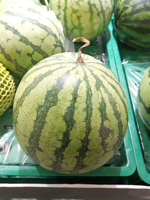 大瓜都在哪里吃的视频大全,热门视频大全，带你领略各地美食风情