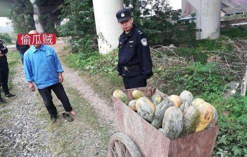 金乡热门吃瓜事件视频,热门事件视频盘点