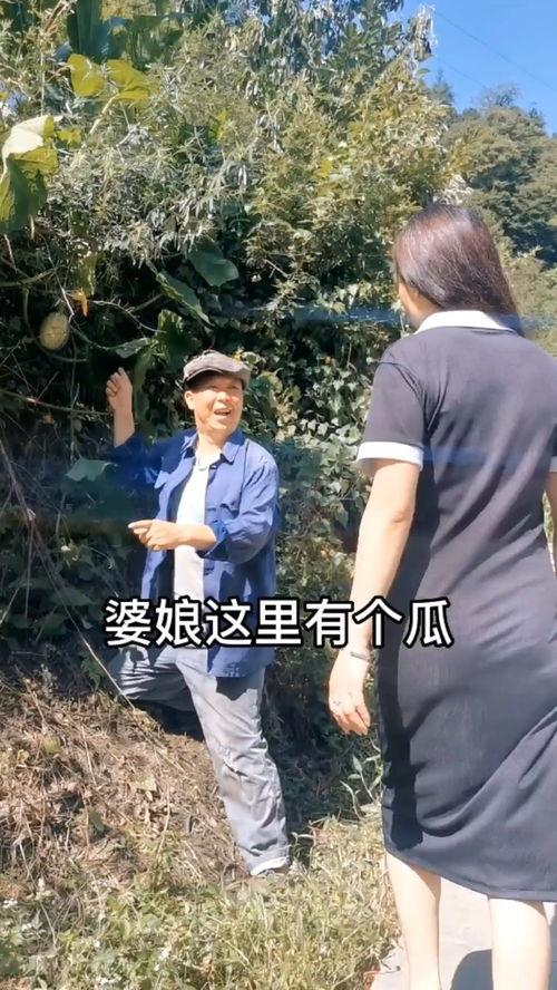 搞笑视频吃瓜吗是真的吗,是真是假，一探究竟