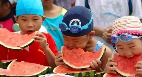 趣味吃瓜大比拼视频,一场舌尖上的欢乐盛宴