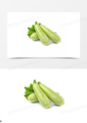 吃葫芦瓜视频素材大全图片,视频素材大全图片赏析