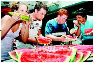 外国人免费吃瓜视频,外国人免费品尝瓜果盛宴，尽享异国风情