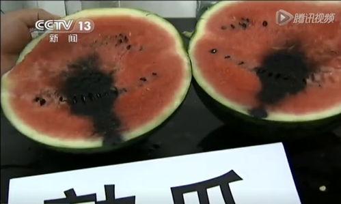 广东专插本吃瓜视频