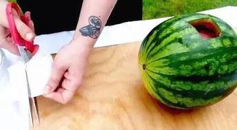 广东专插本吃瓜视频