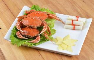 吃瓜后还能吃螃蟹吗视频,揭秘两者兼得的美食奥秘