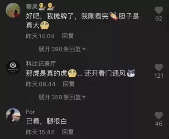 厦门直播吃瓜事件视频下载,视频揭秘网络直播背后的争议瞬间